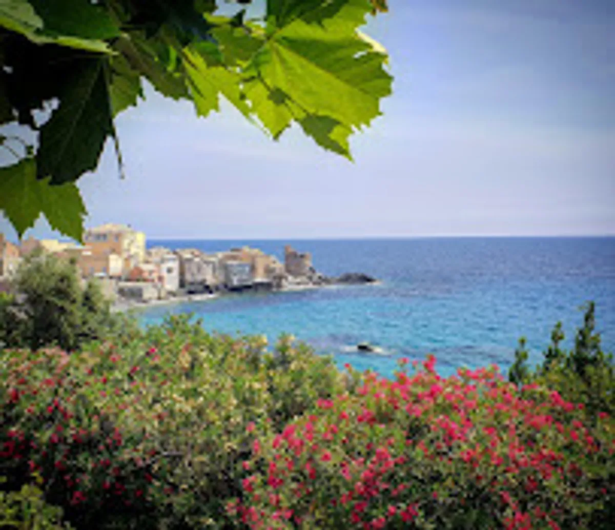 Otisi conciergerie - Photo 4