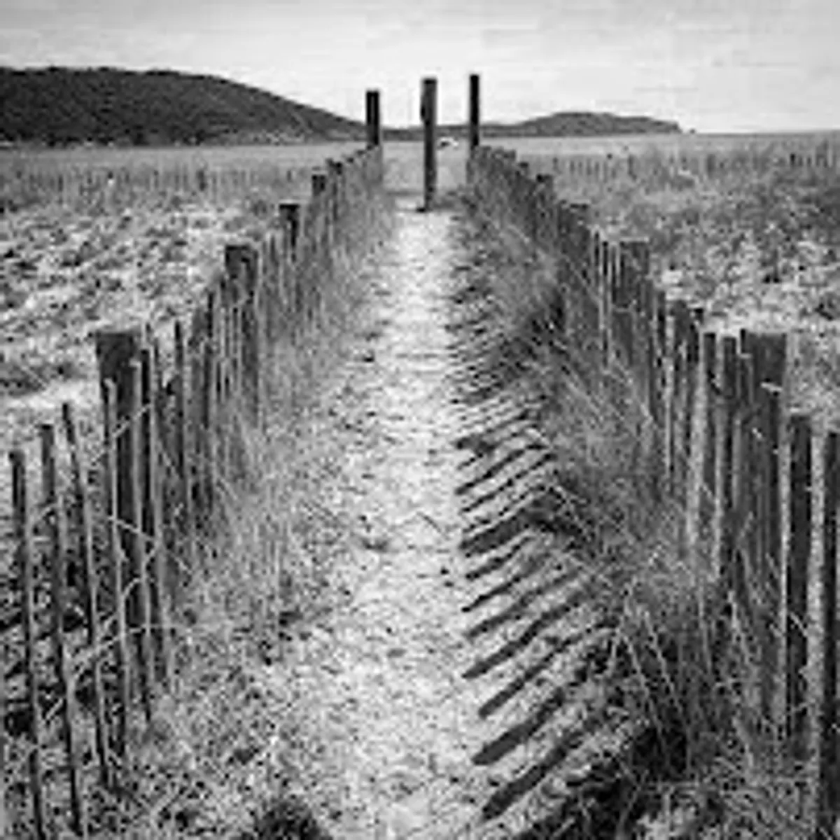 Otisi conciergerie - Photo 8