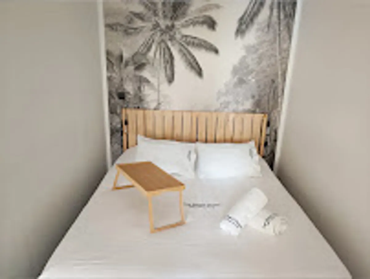 PalmHouse conciergerie Nice - Photo 4