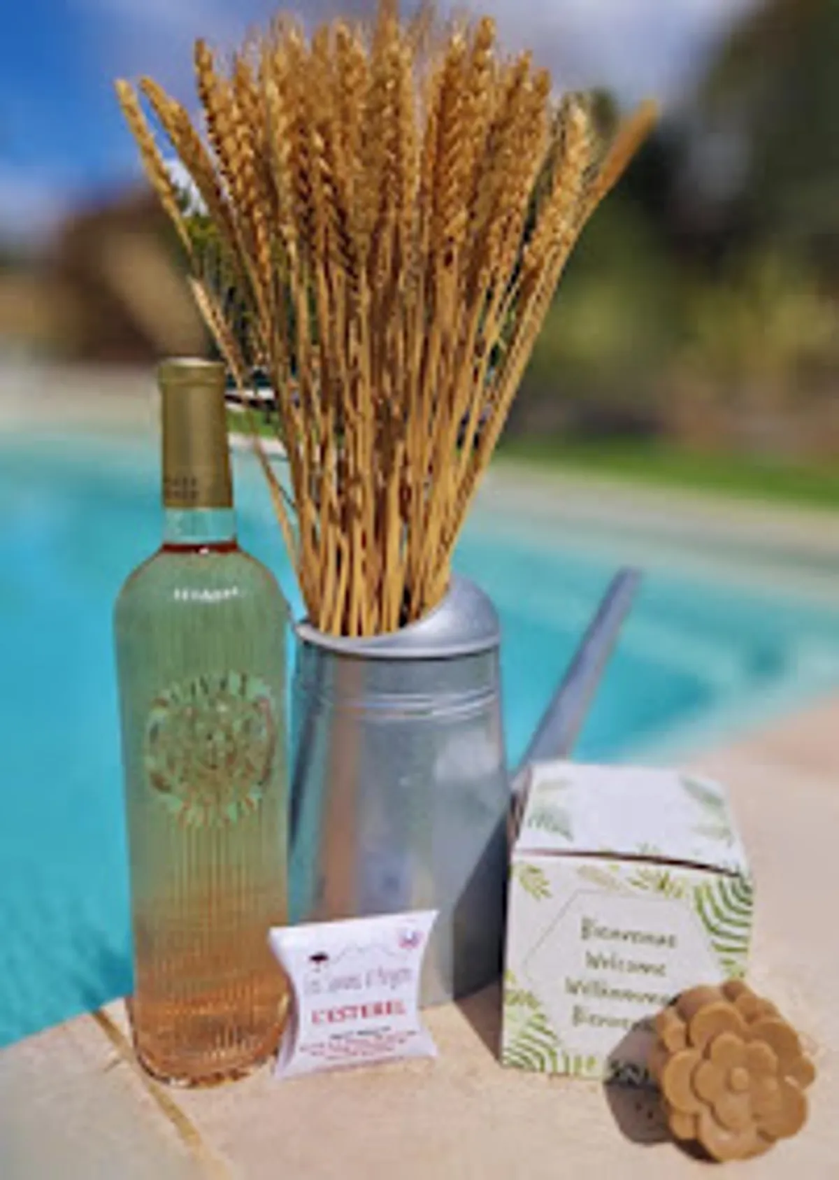 Pascal Conciergerie 83