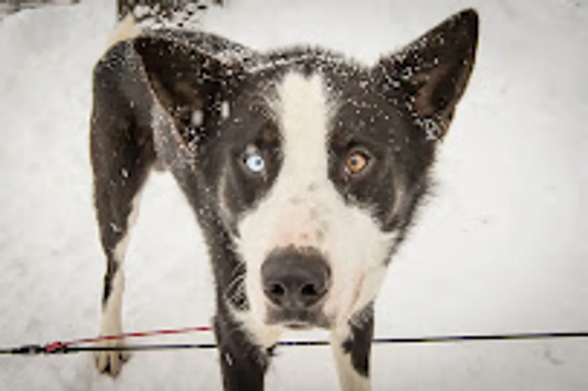 Perrine C. - Photo 6