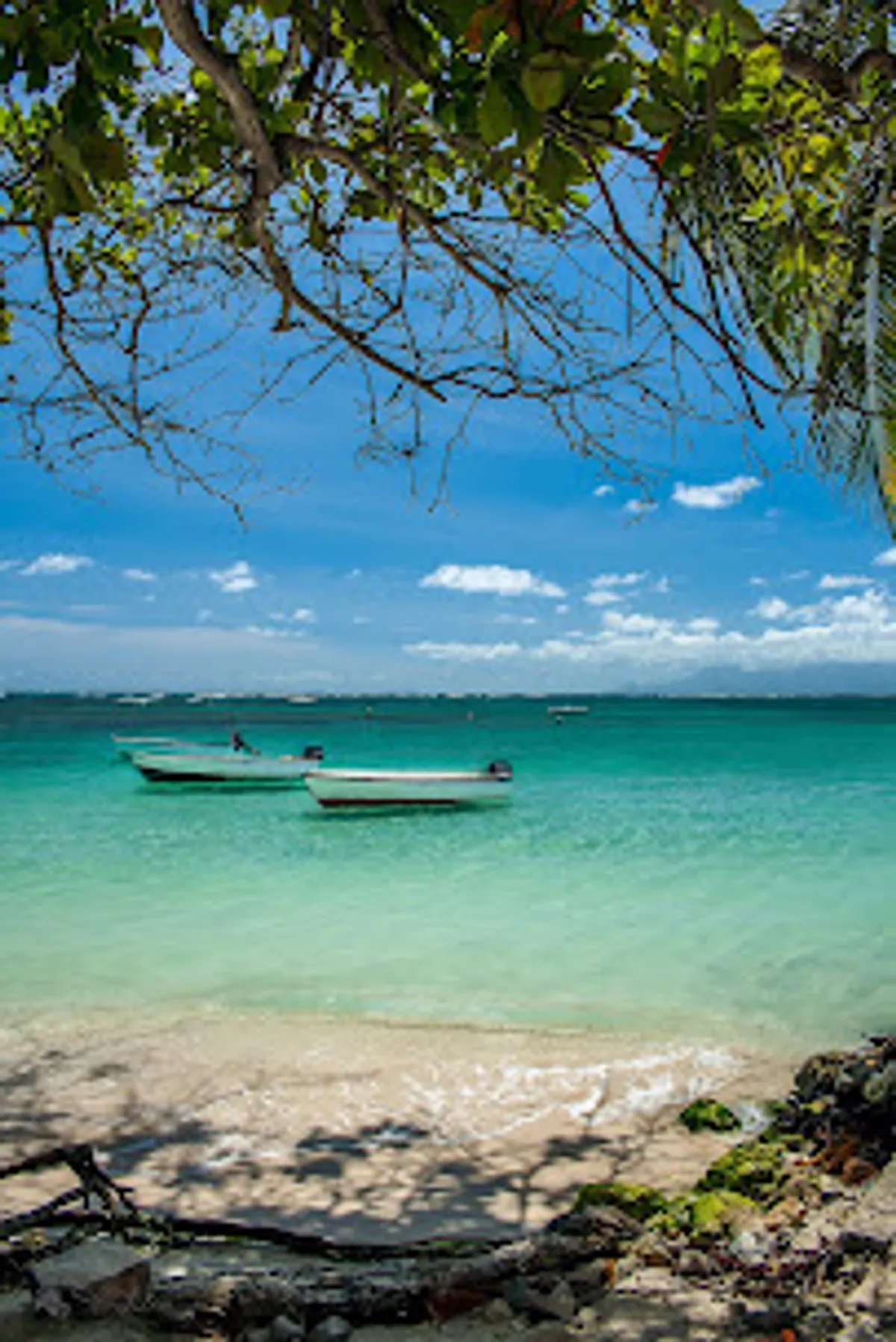 Résidence Bleu Marine ( conciergerie de Sandrine ) - Photo 2