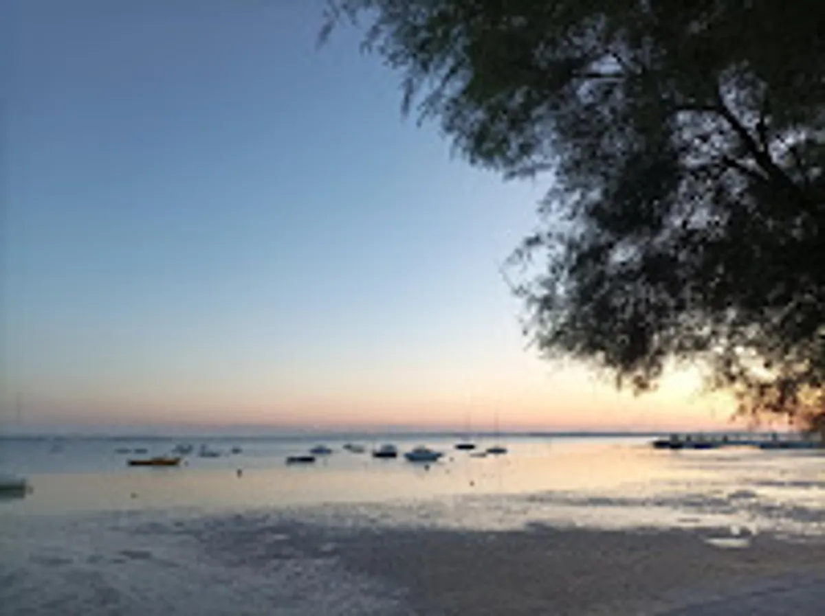 Rêve de Bassin Conciergerie