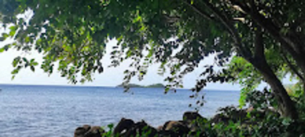 Rêv'n Go Services - Conciergerie - Photo 3