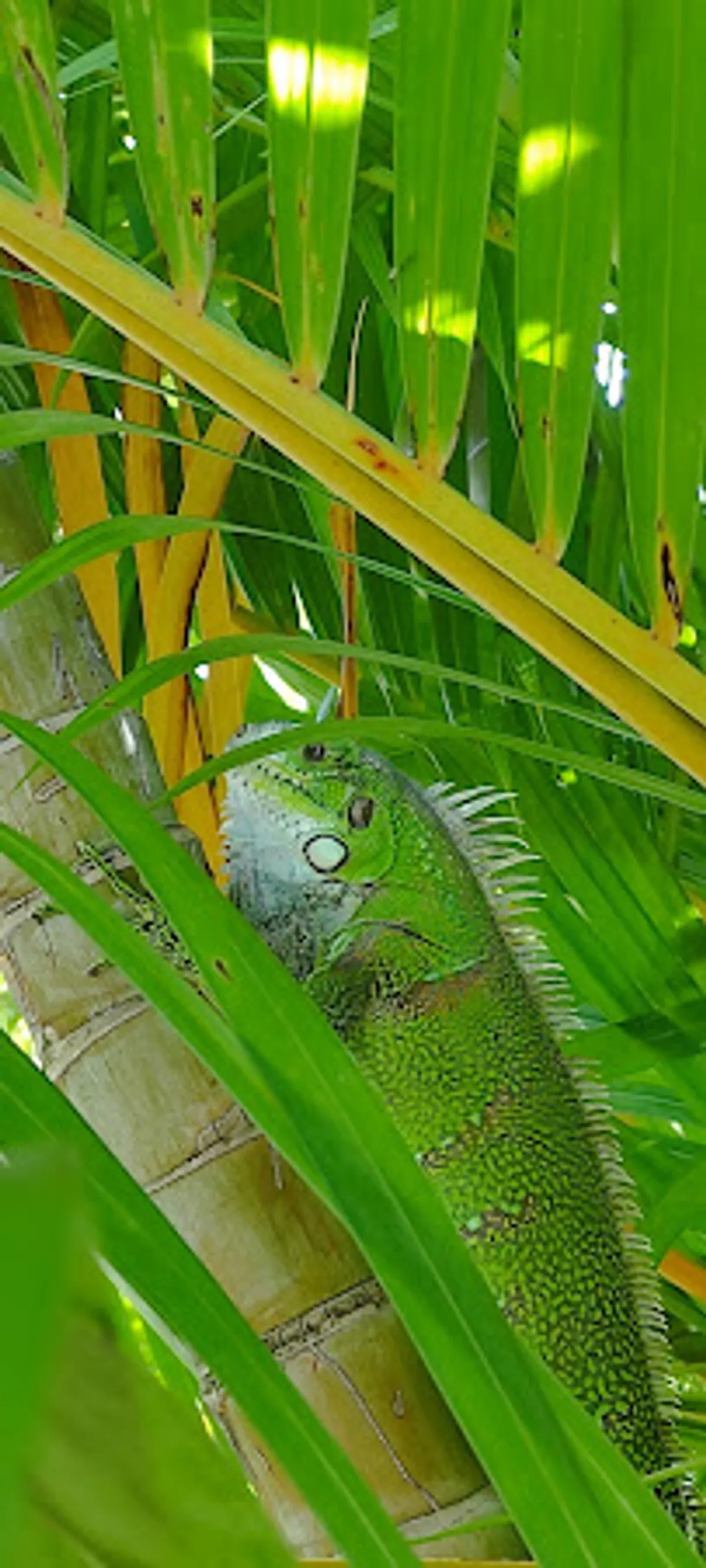 Rêv'n Go Services - Conciergerie - Photo 5