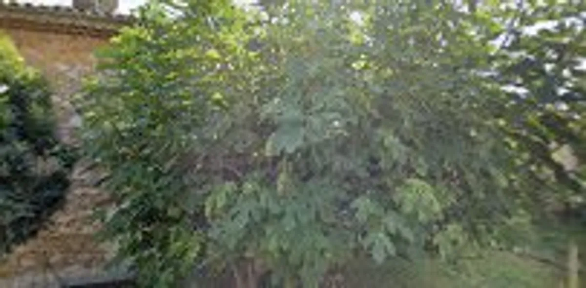 Riviera Rentals Conciergerie - Spéracèdes - Photo 5