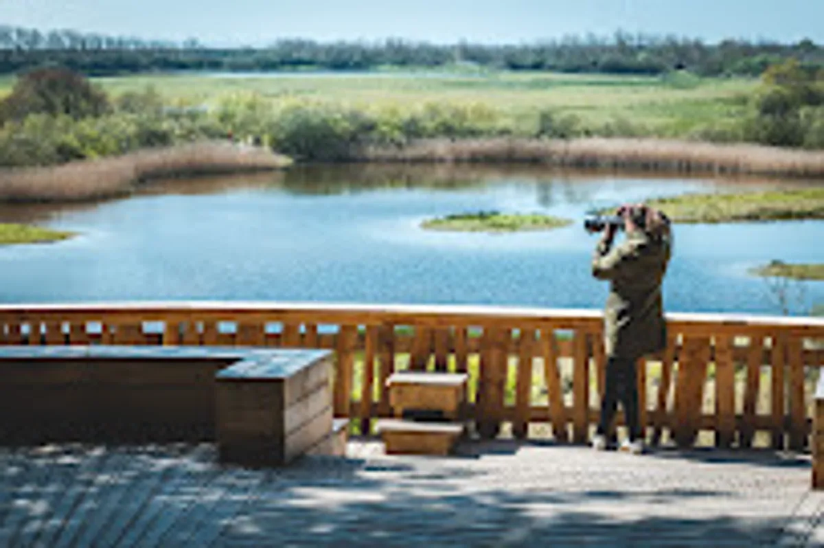 Rosalie Sweet Home Conciergerie - Photo 2