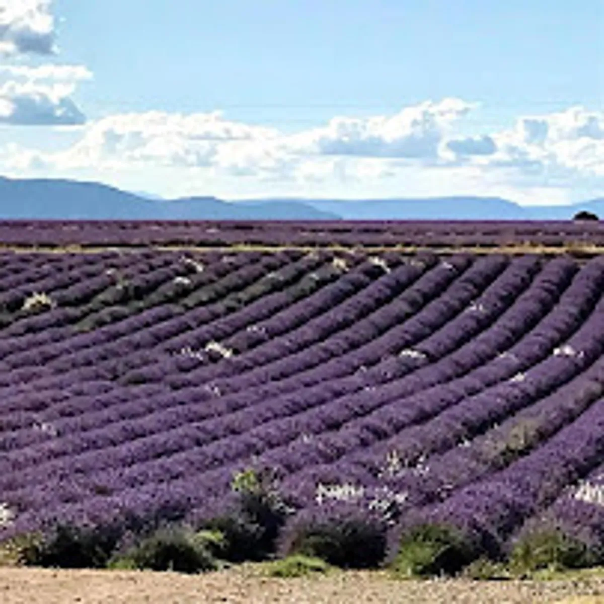 Sgs conciergerie - Photo 3