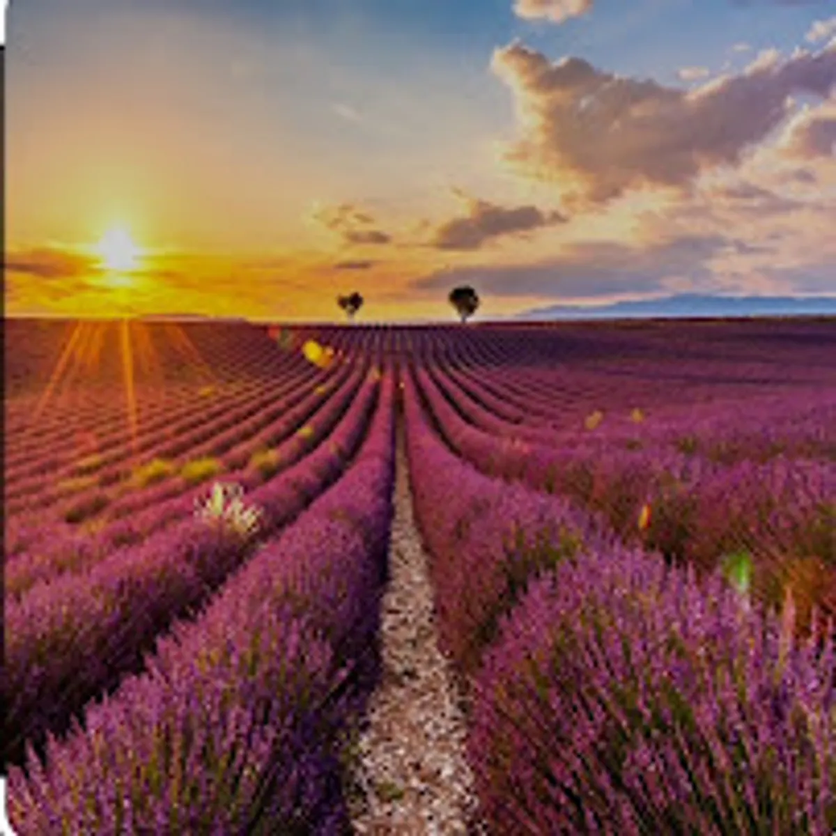 Sgs conciergerie - Photo 7