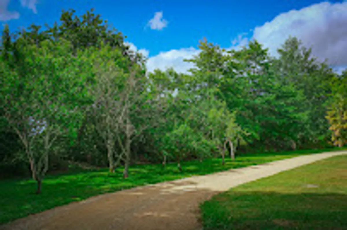 SO BREIZH Conciergerie - Photo 9