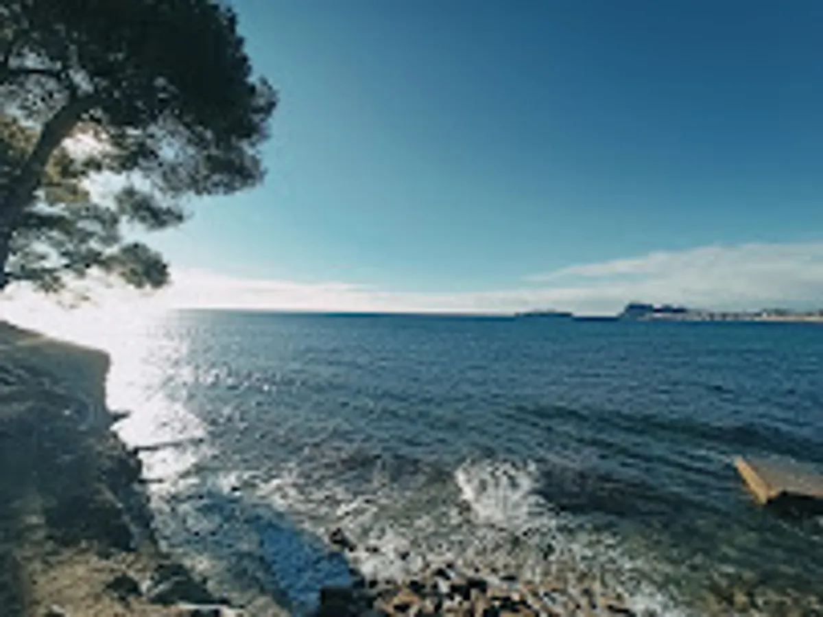 Soleil d'Azur Immobilier - Vente - Gestion - Syndic de copropriété - location saisonnière - conciergerie - Photo 3