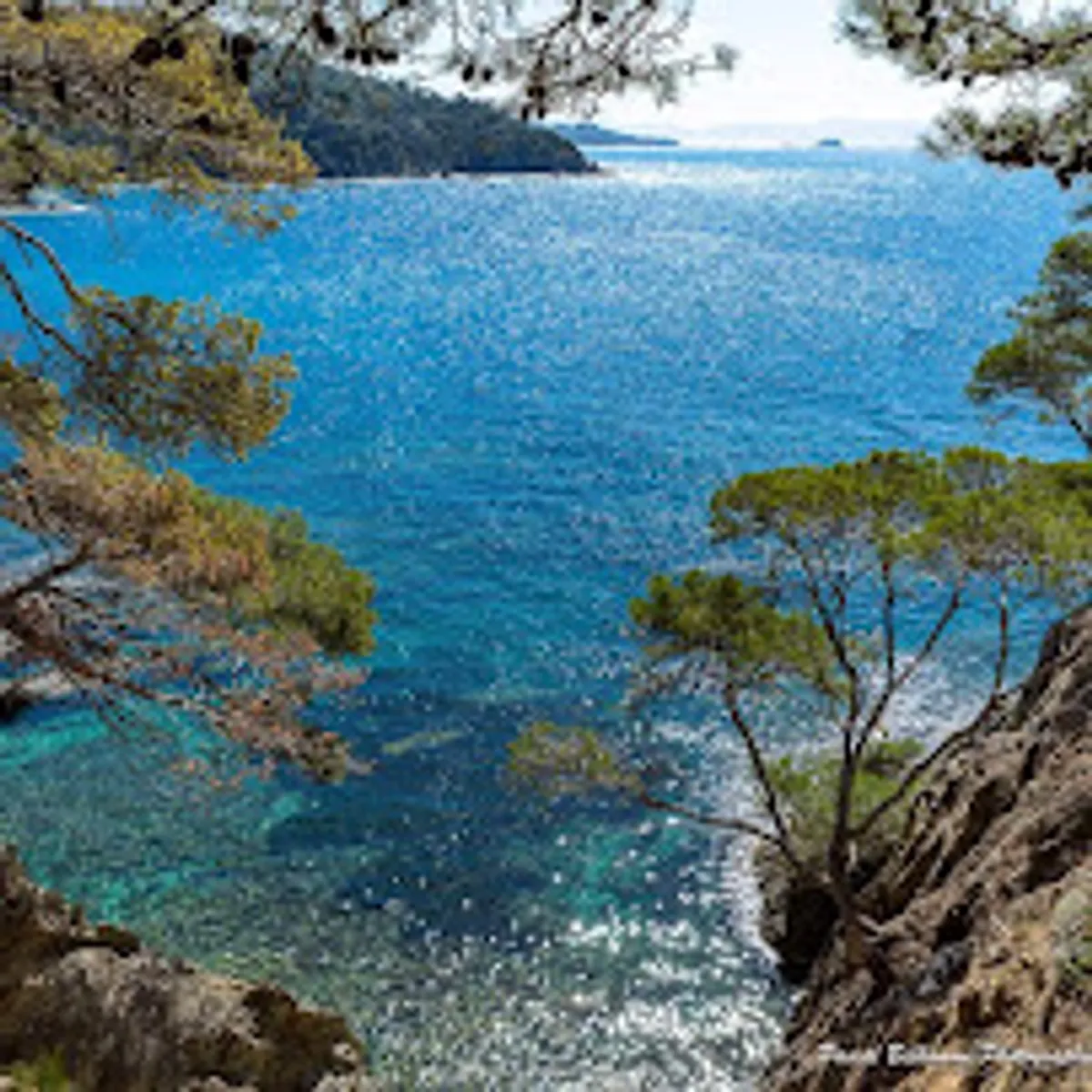 Standing Presta Conciergerie - Six-Fours-les-Plages - Photo 8
