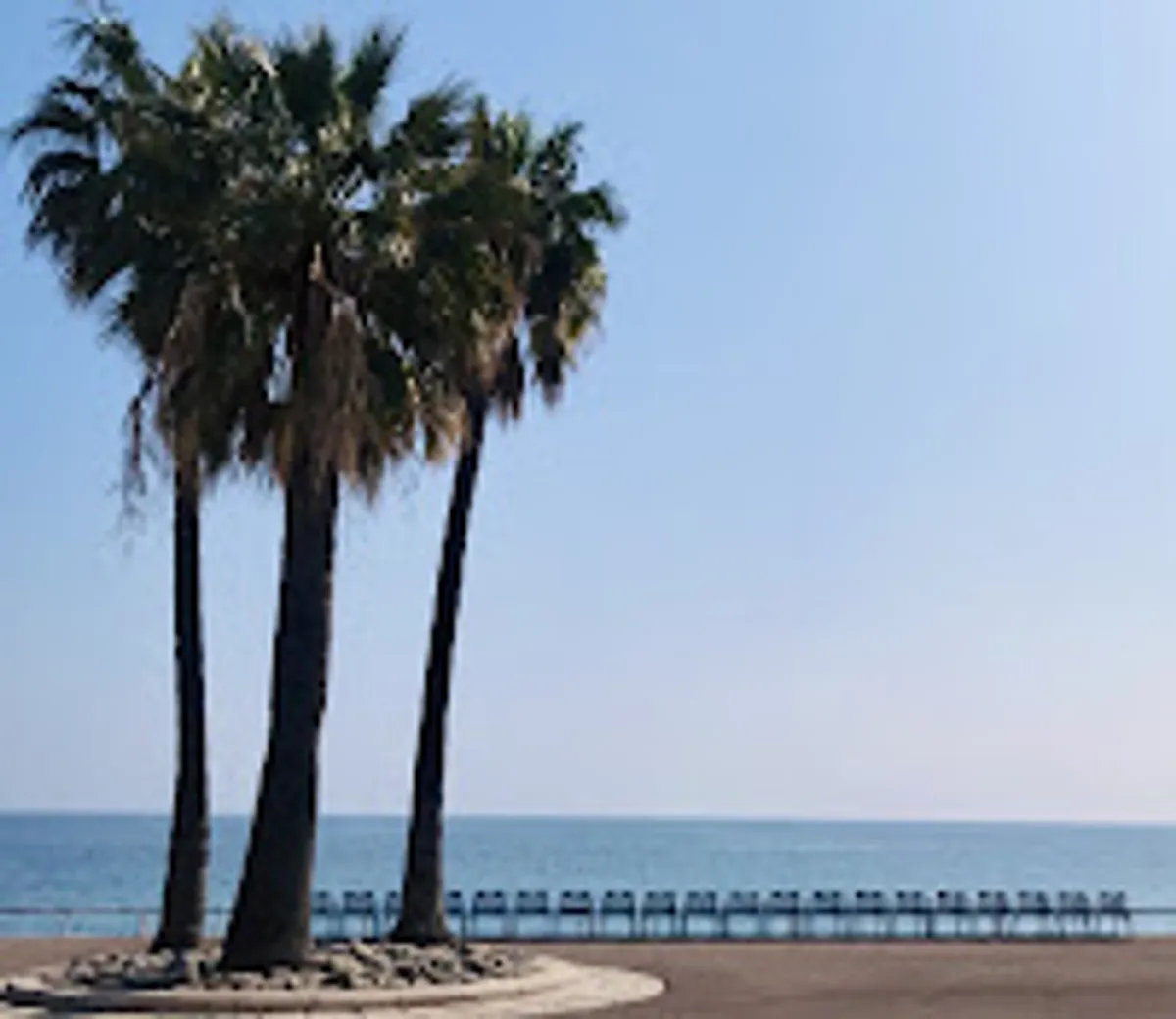 Star Homes Nice - Conciergerie Nice