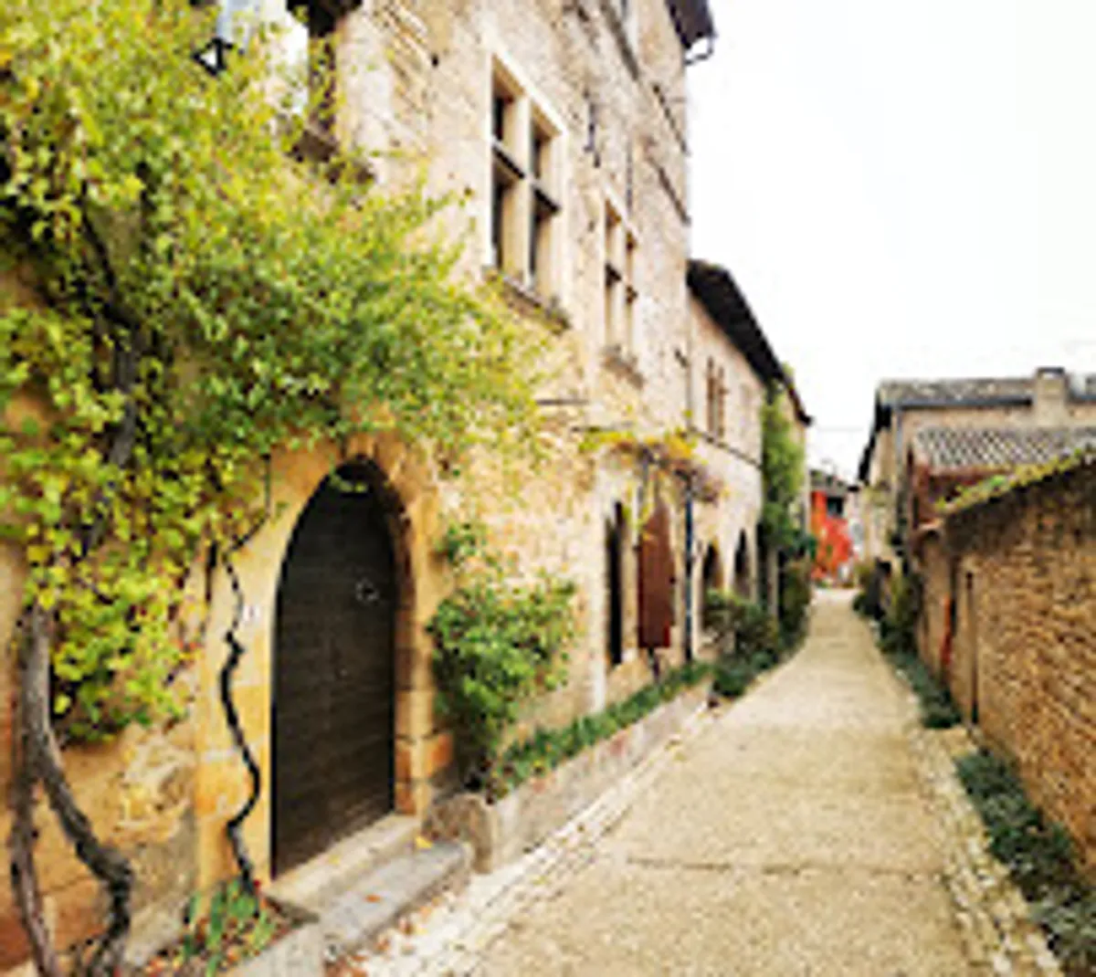 Sud'Arrange - Photo 3