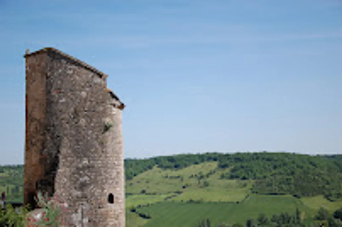 Sud'Arrange - Photo 5