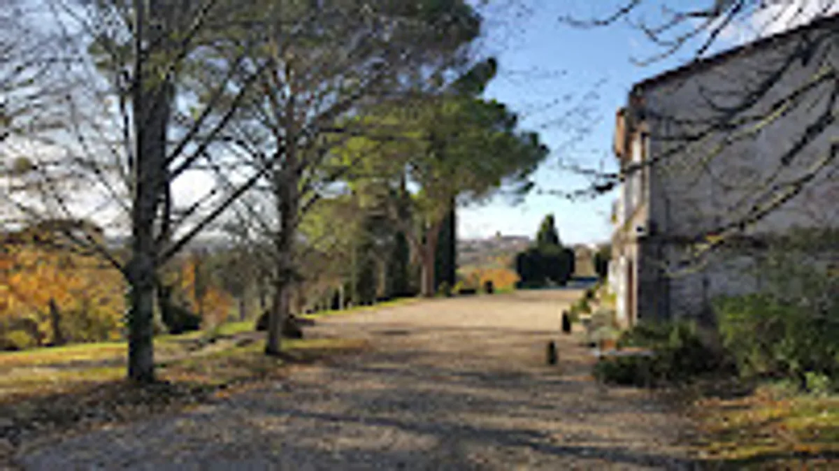 Sud'Arrange - Photo 7