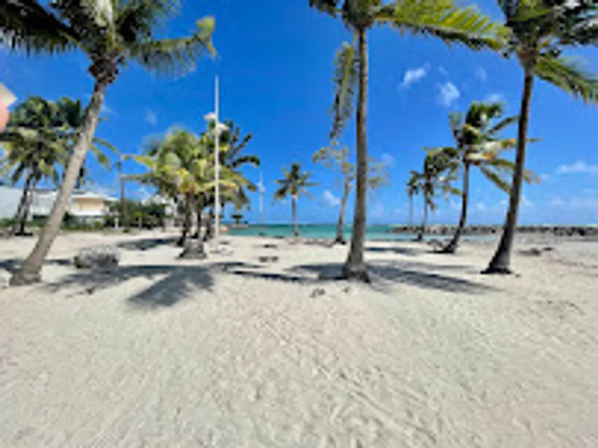 Sur la plage coco /plage du bourg de Sainte Anne/résidence de la plage - Photo 4