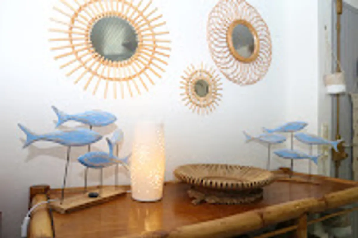 Sur la plage coco /plage du bourg de Sainte Anne/résidence de la plage - Photo 6