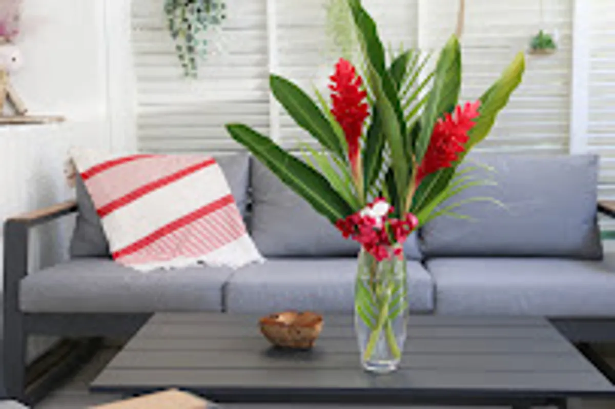 Sur la plage coco /plage du bourg de Sainte Anne/résidence de la plage - Photo 9