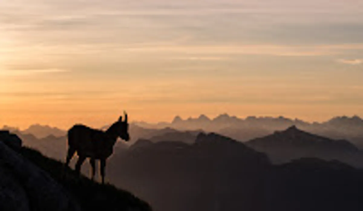 Ta conciergerie - Photo 2