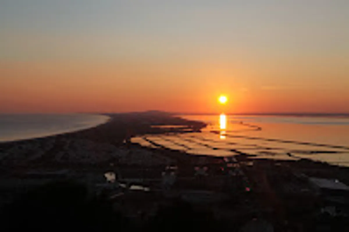 Thau Conciergerie - Photo 2