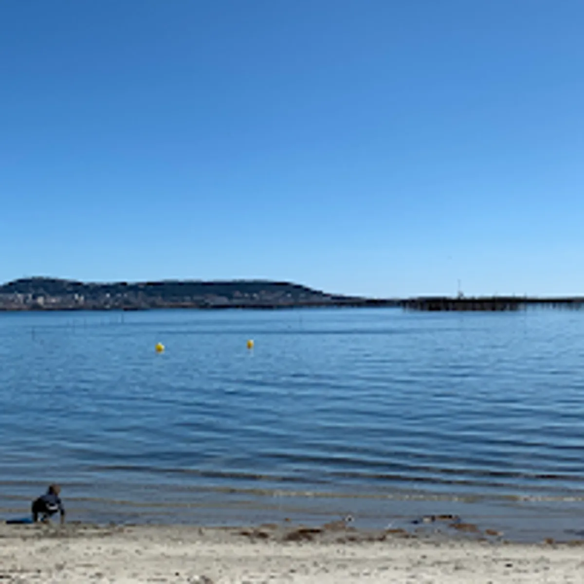 Thau Conciergerie - Photo 4