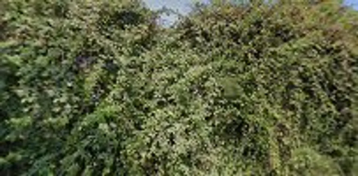 Tranquility B&B Conciergerie - Photo 2