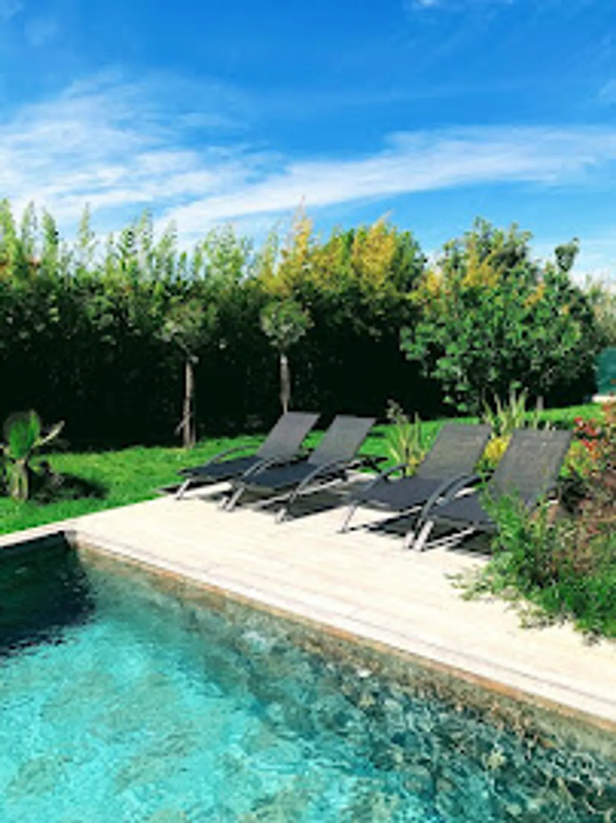 Turquoise Services - Photo 5