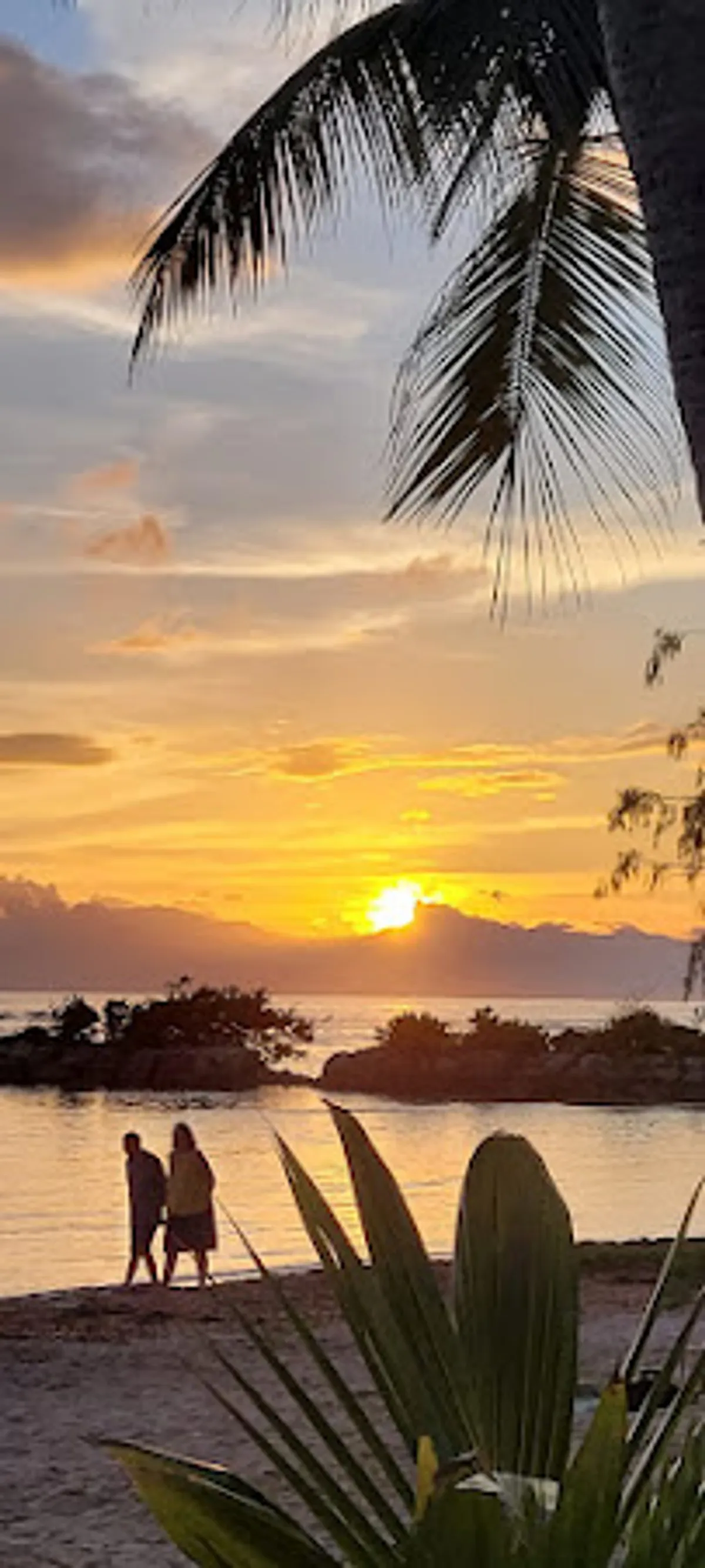 Vacances Anse des Rochers Kalinao - Photo 3