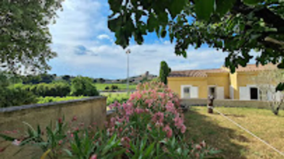 Villa Syrah - Photo 6