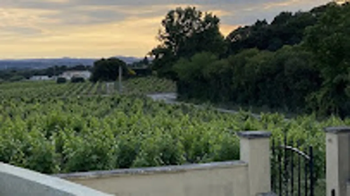 Villa Syrah - Photo 7