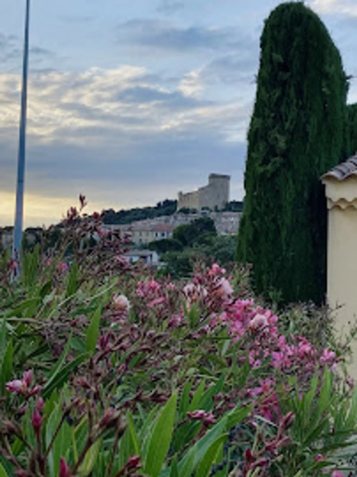 Villa Syrah - Photo 8