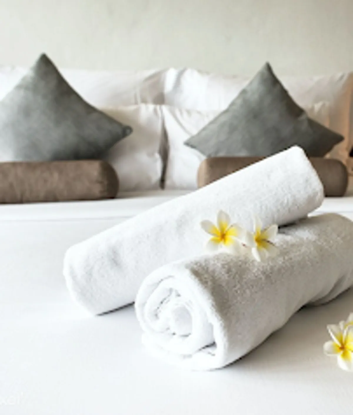 W LIFE SERVICES | Ménage Airbnb & blanchisserie Lyon - Photo 5