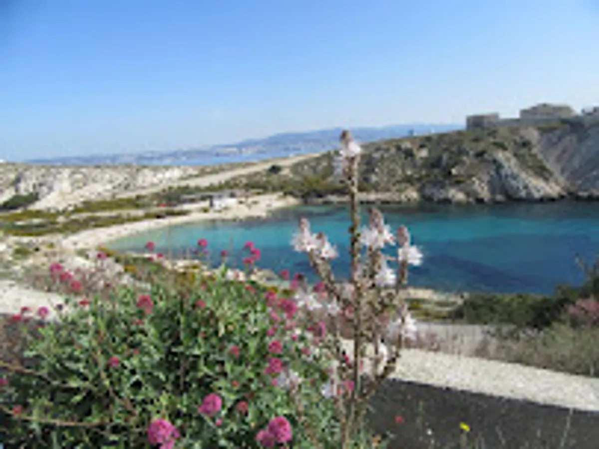Welc'Home Marseille - Photo 2