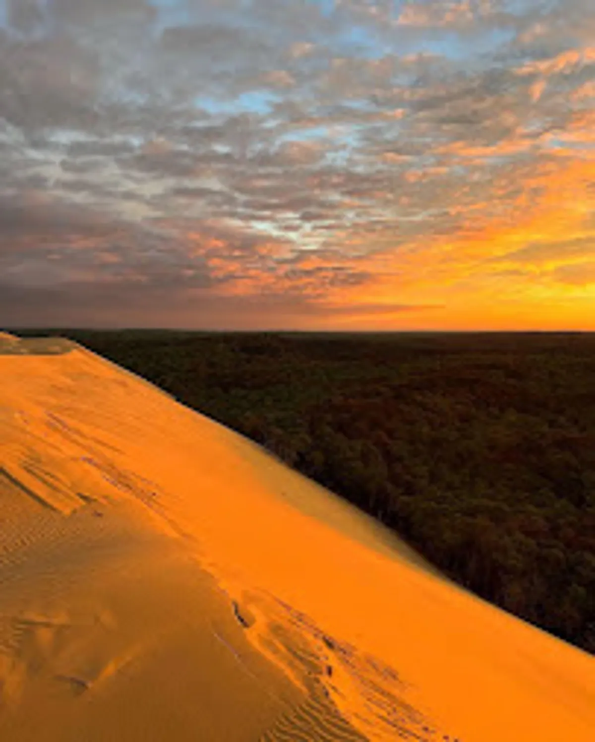 YourHostHelper Arcachon - Conciergerie - Gestion Location Courte durée et Gestion Location Saisonnière à Arcachon - Photo 9