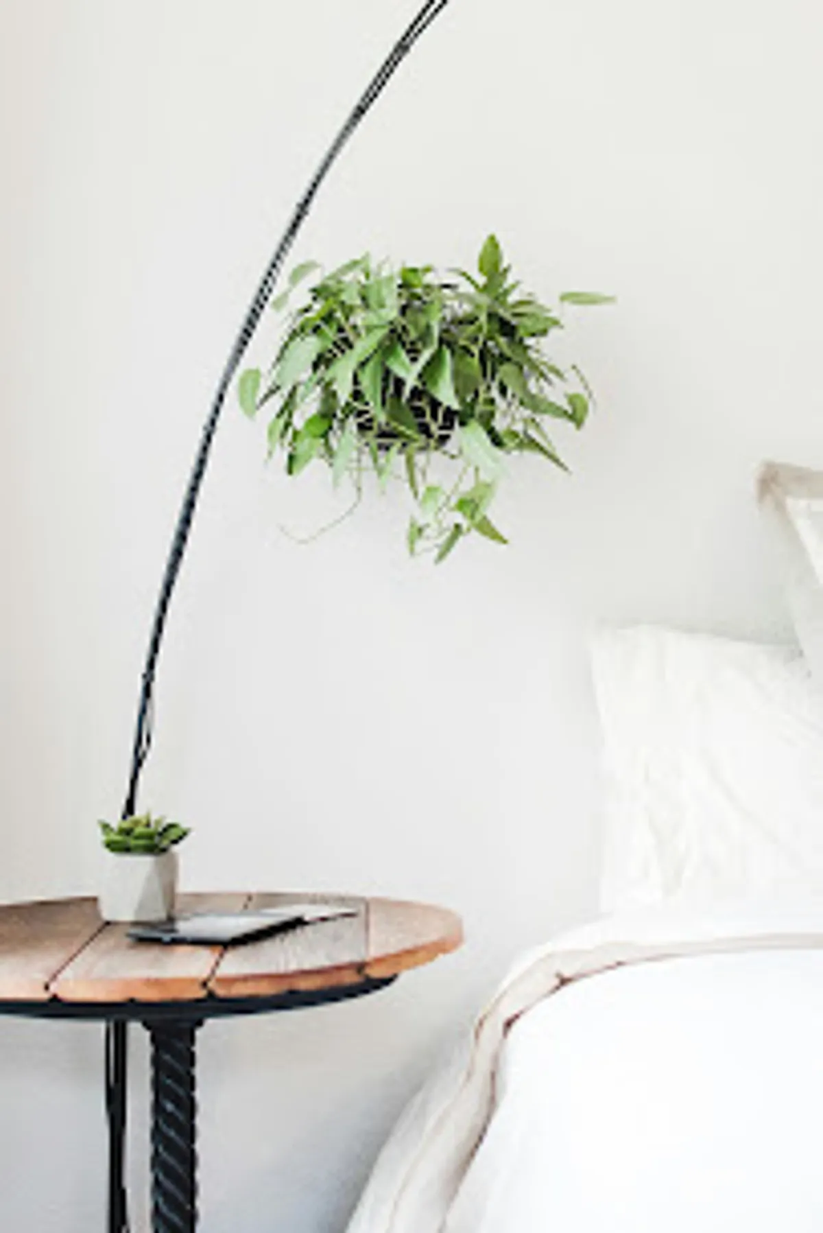 zenloc - conciergerie immobilière - Photo 3