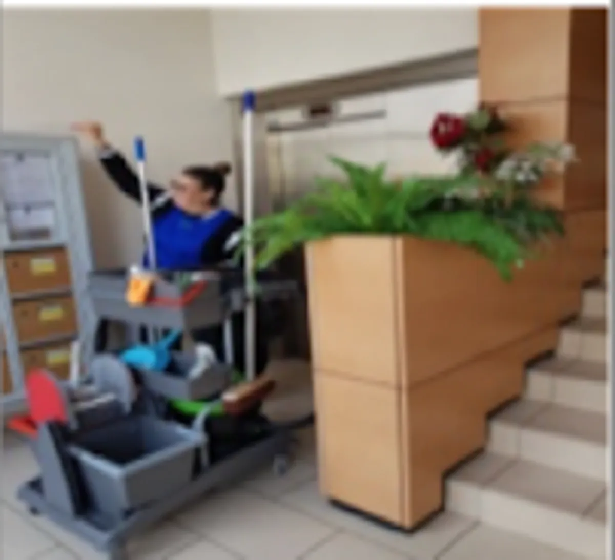 ADEL CLEAN - Photo 8