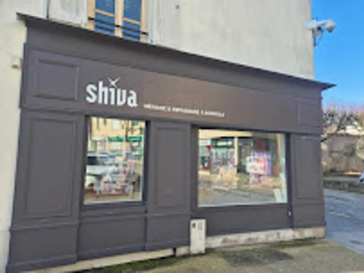 Ménage et repassage à domicile - Shiva Brie-Comte-Robert - Photo 2