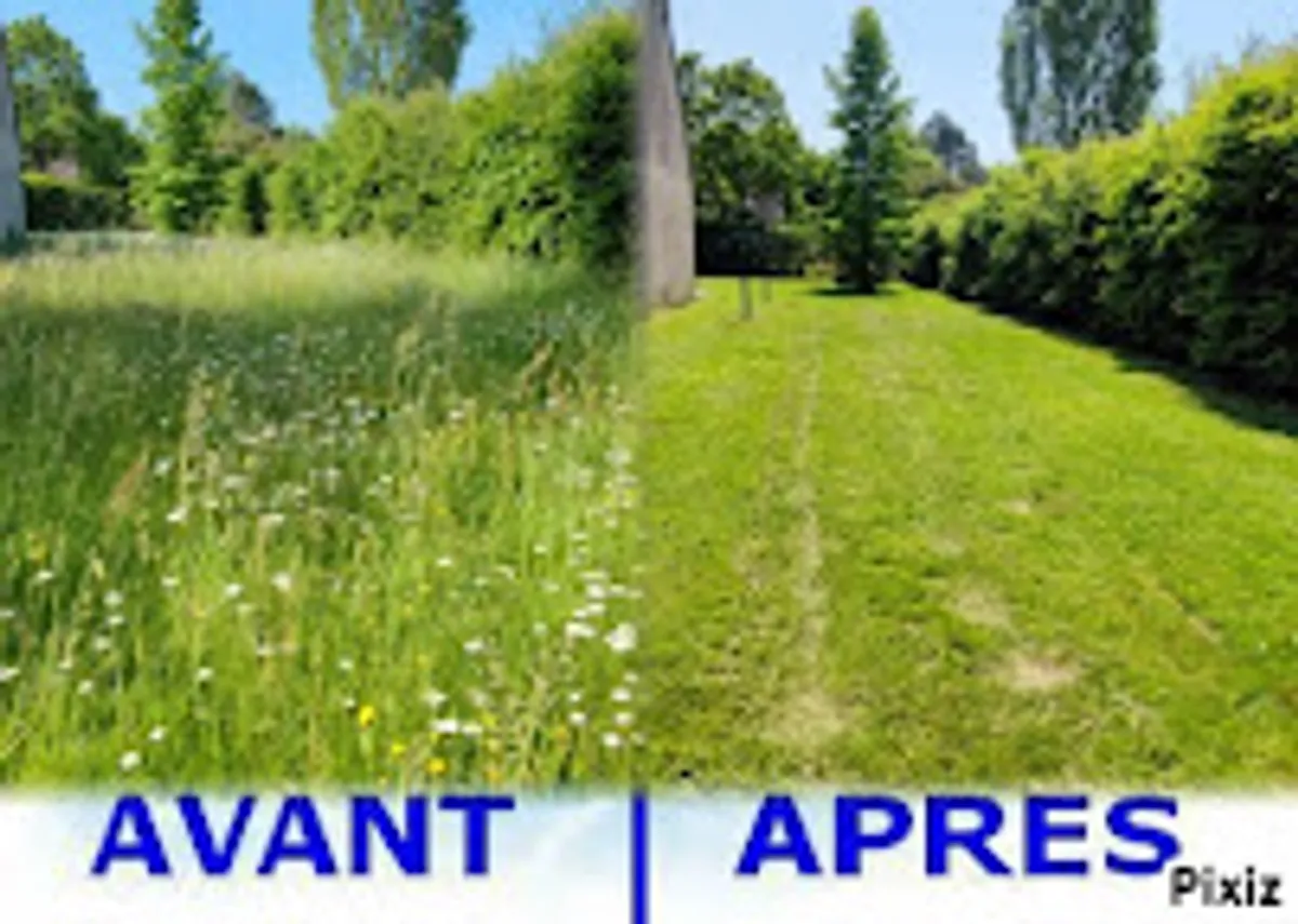 VIVASERVICES HOUILLES – CARRIÈRES-SUR-SEINE I Ménage, Garde d’enfants, Aide aux personnes âgées, Jardinage, Bricolage - Photo 8