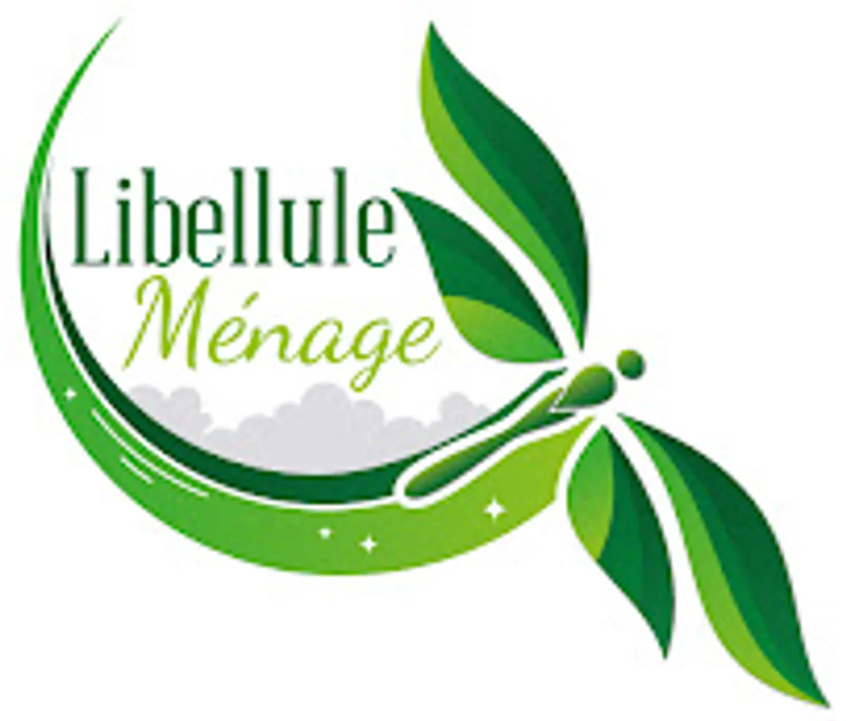 libellule menage - Photo 3