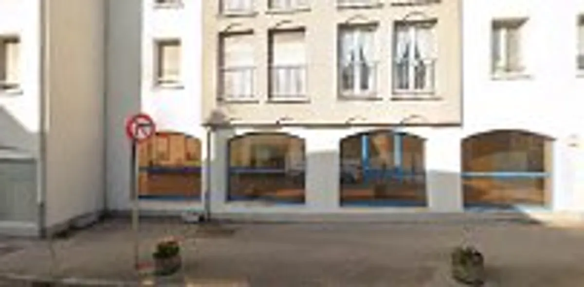 Maison et Services Vittel | Ménage, repassage, jardinage, nettoyage de vitres - Photo 4