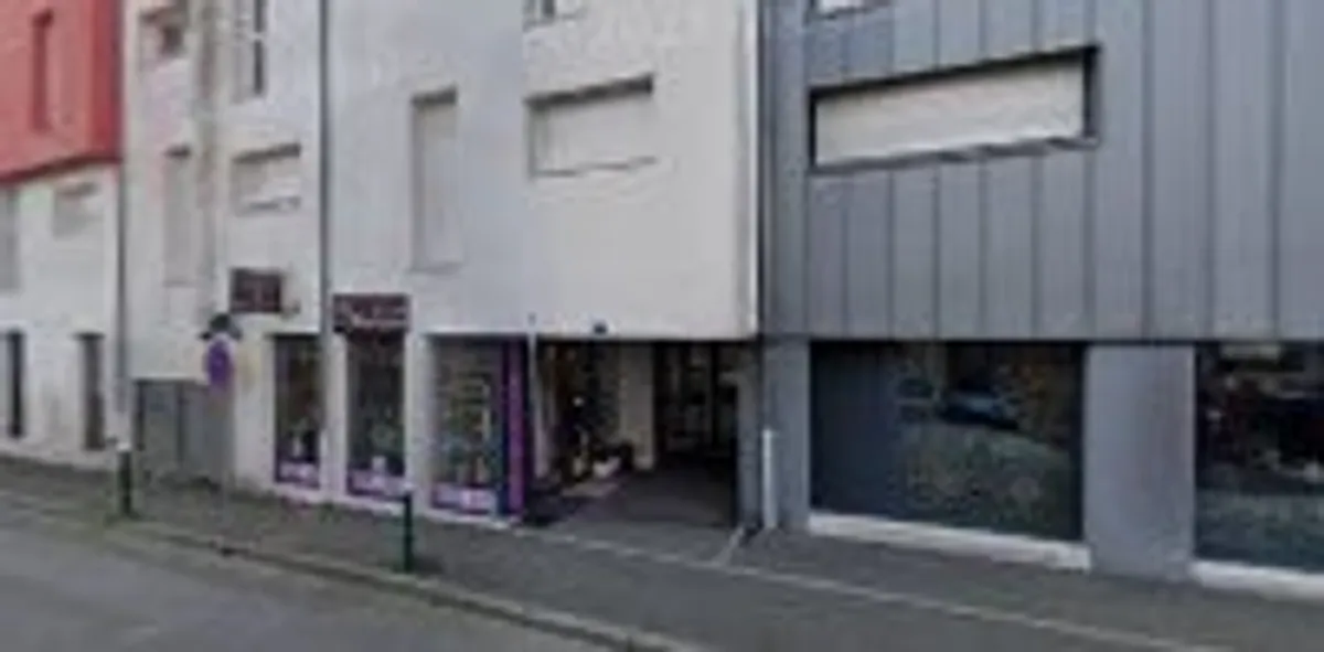 Ménage et repassage à domicile - Shiva La Chapelle-sur-Erdre - Photo 3