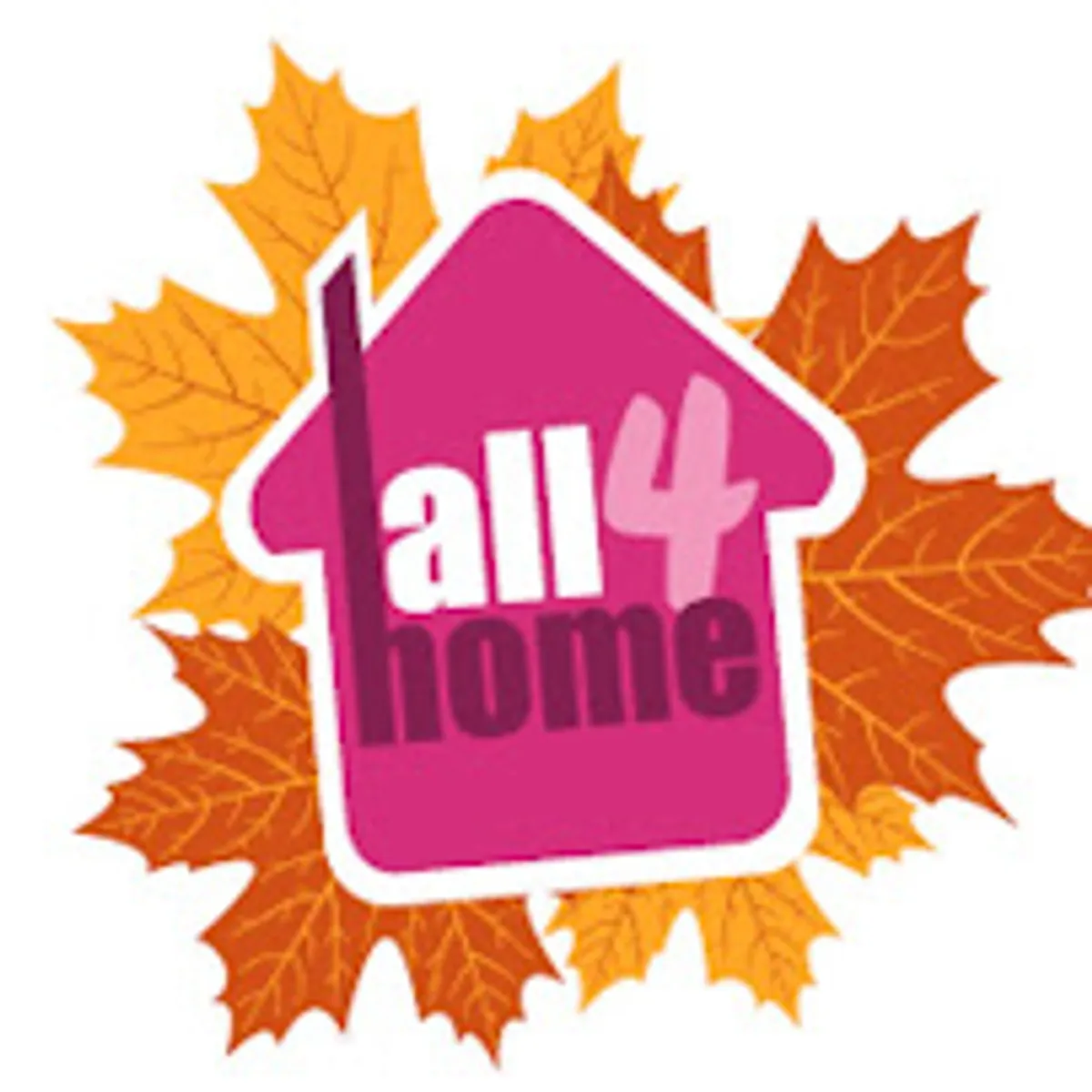 All4Home Pau - Service de ménage et garde d'enfants - Photo 2