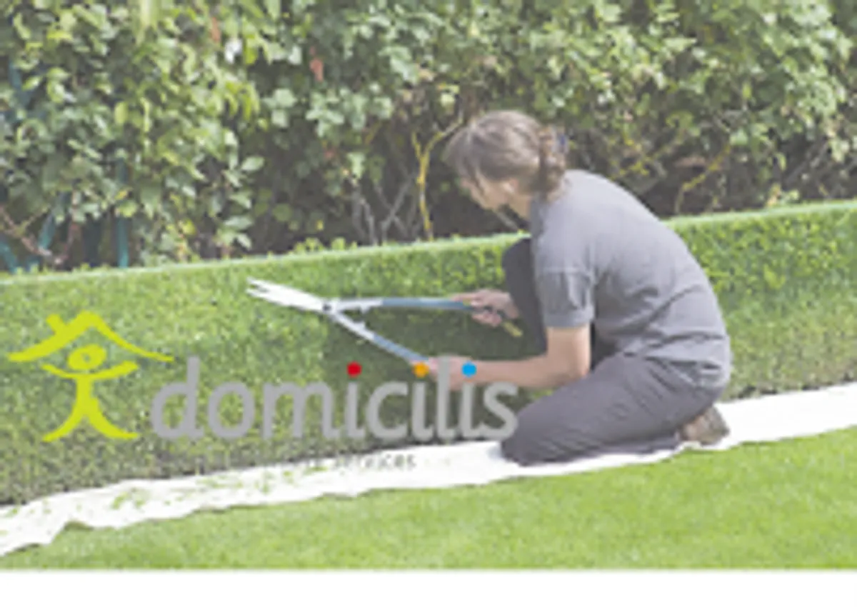 Domicilis - Photo 2