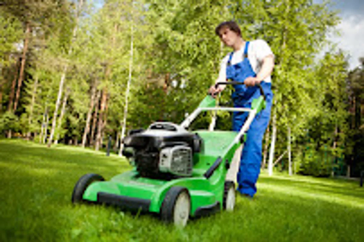 DOMICILE CLEAN - Services de ménage et Aide à domicile sur le Val d'Yerres - Photo 2