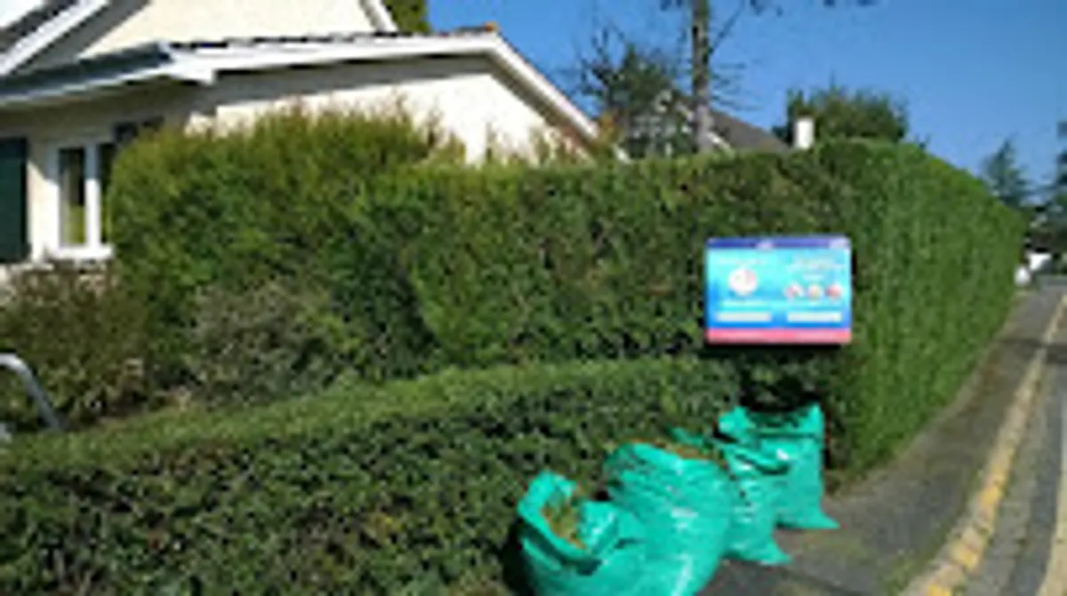 Ménage et repassage à domicile - Centre Services Maurepas - Photo 7