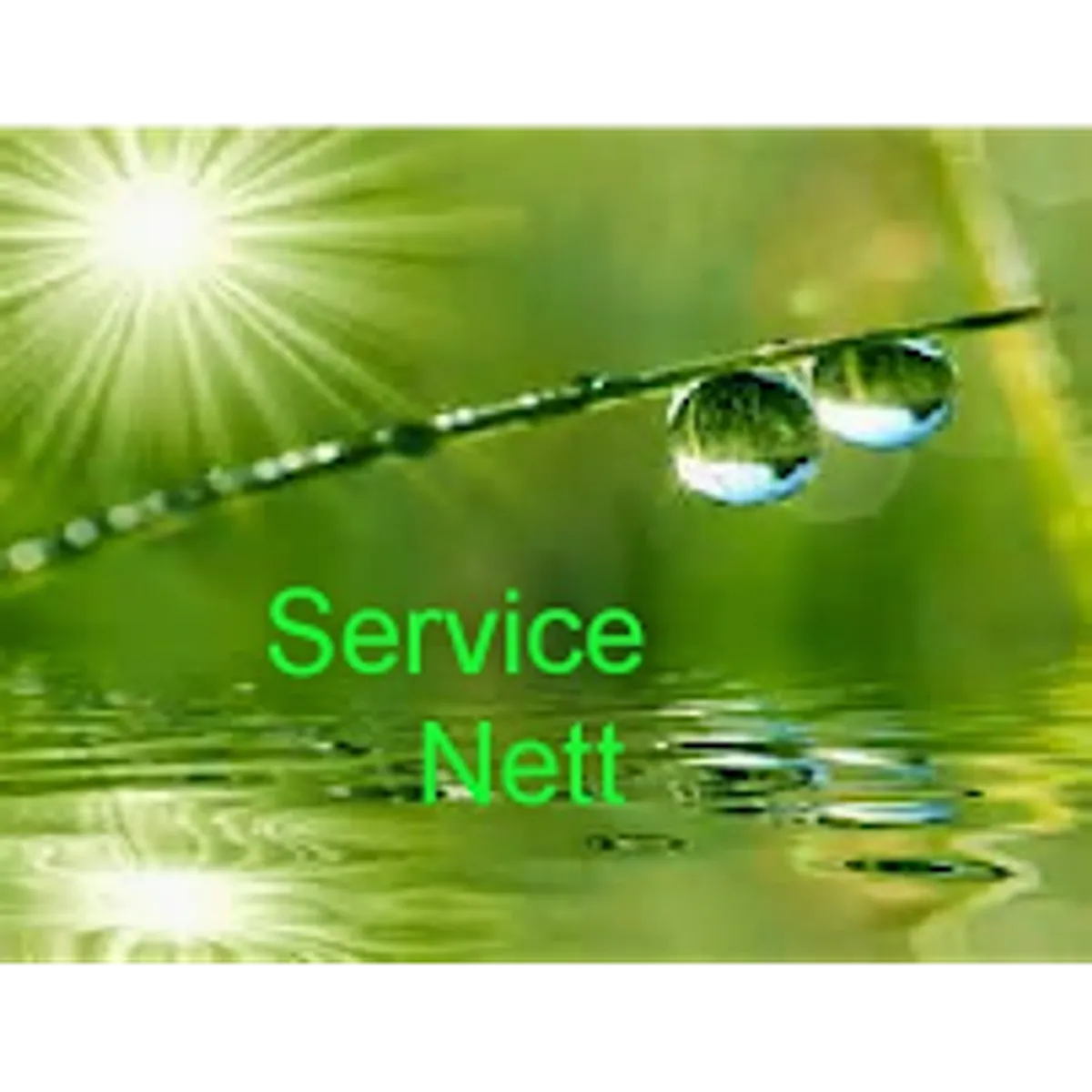 service nett