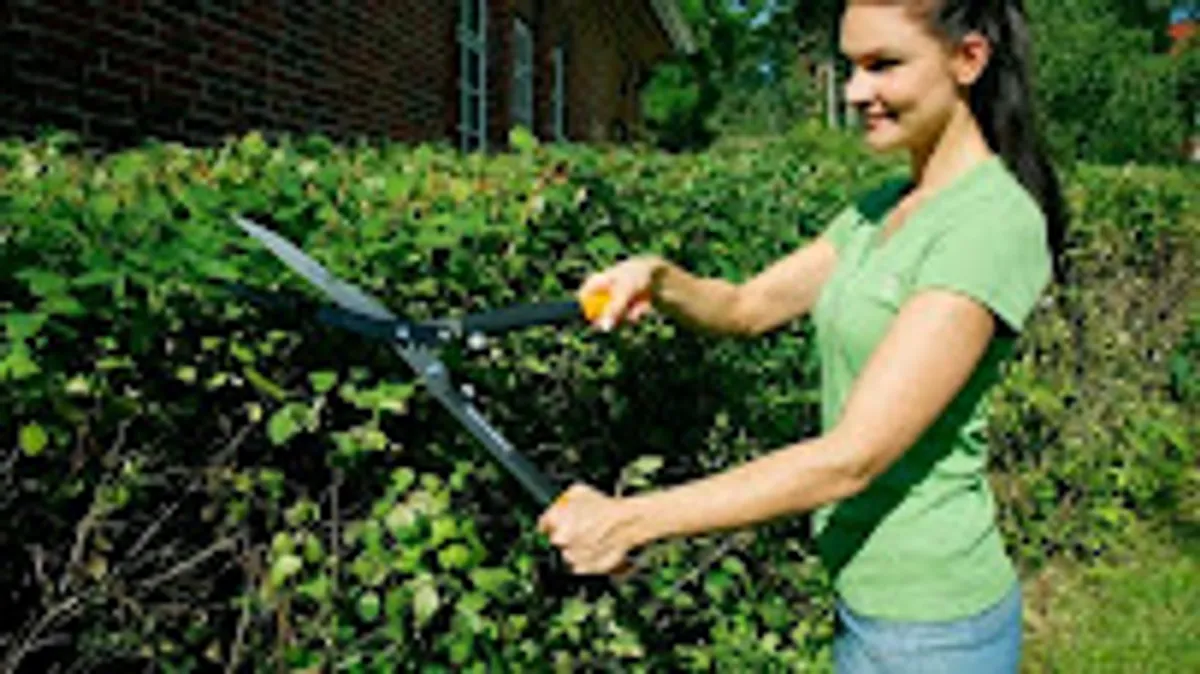 Ludo-Services - Photo 3