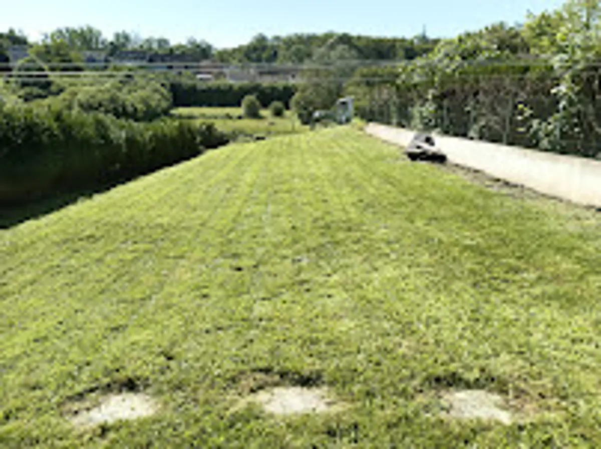 AMICIZIA SERVICES - Territoire de Belfort - Photo 3