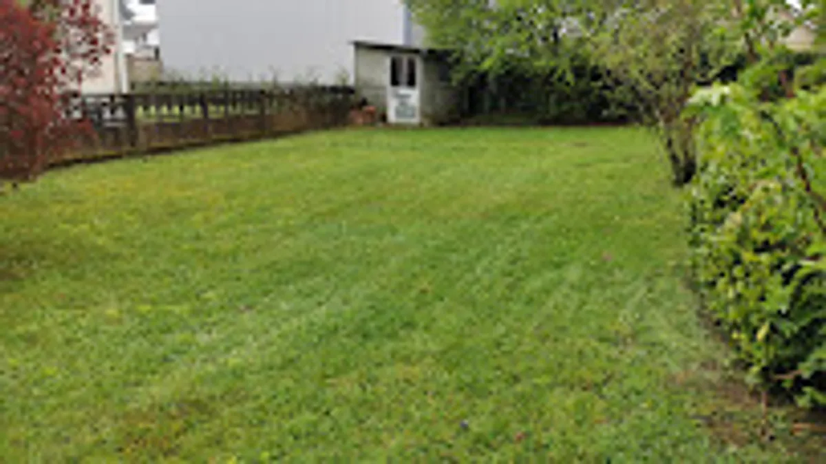 AMICIZIA SERVICES - Territoire de Belfort - Photo 4